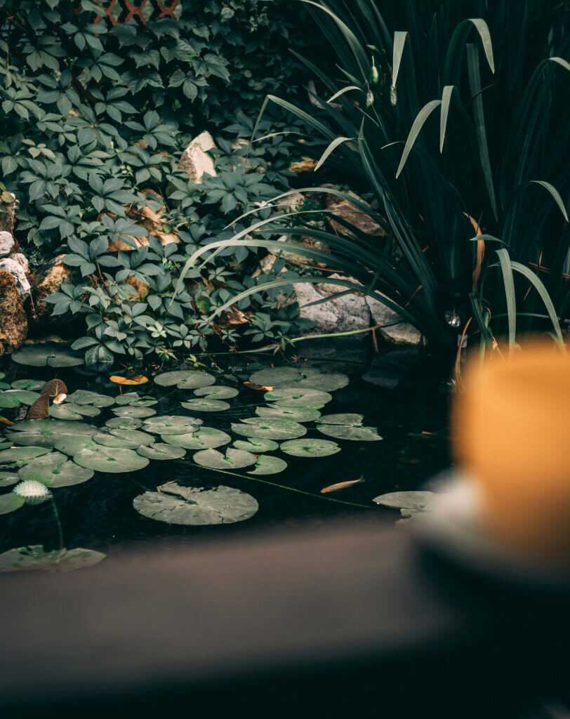 making a garden pond