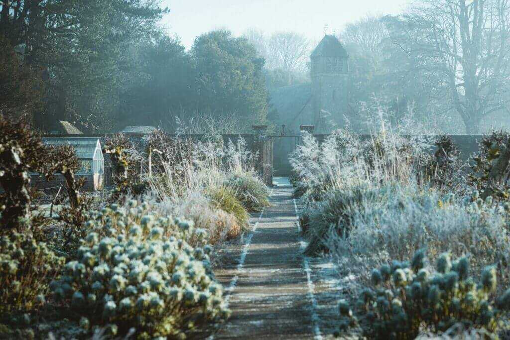 outdoor winter frost landscape