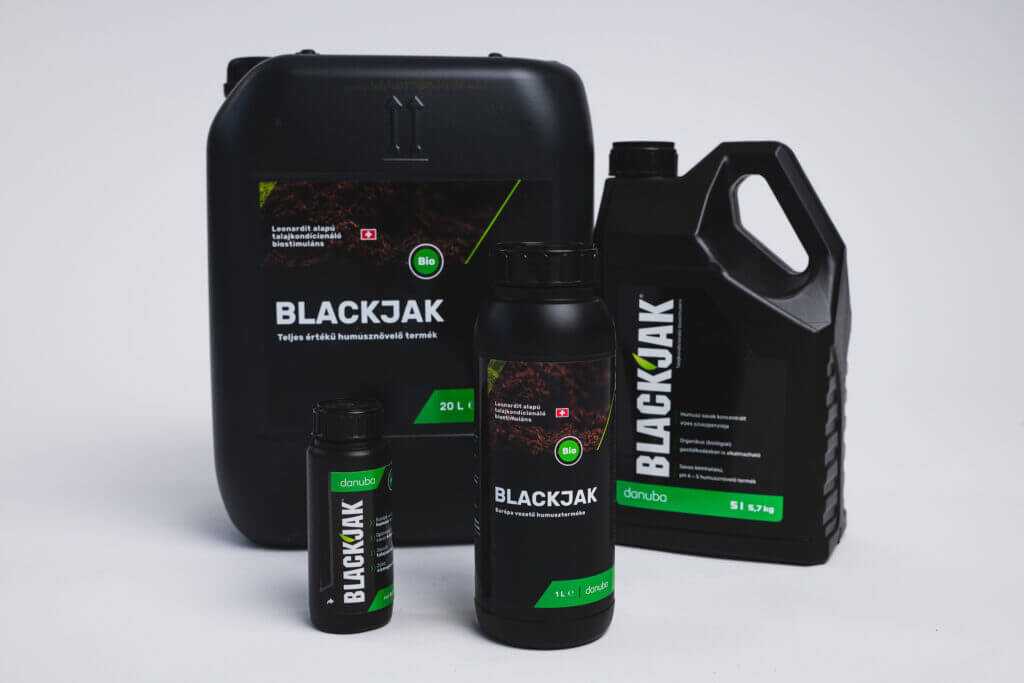 Blackjak család