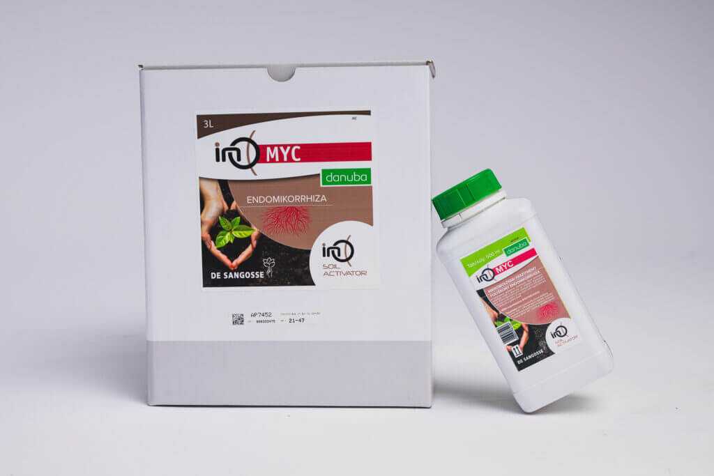 Ino Myc nagy-kicsi
