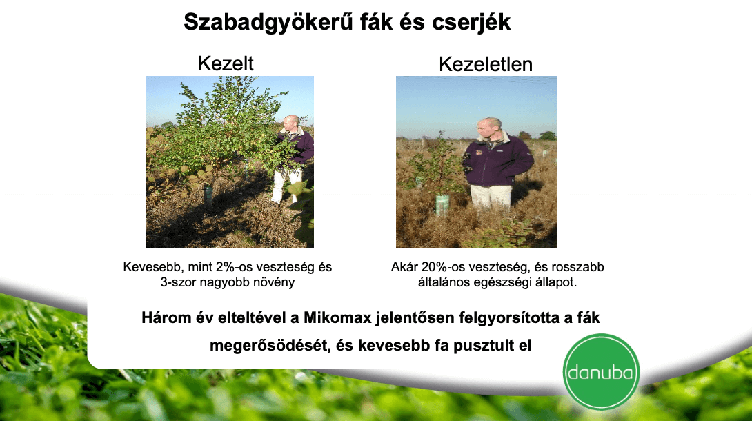 Mikomax cserjék