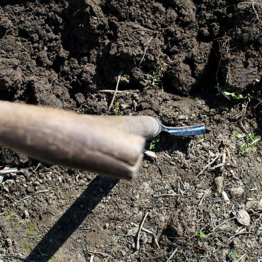 Digging and soil