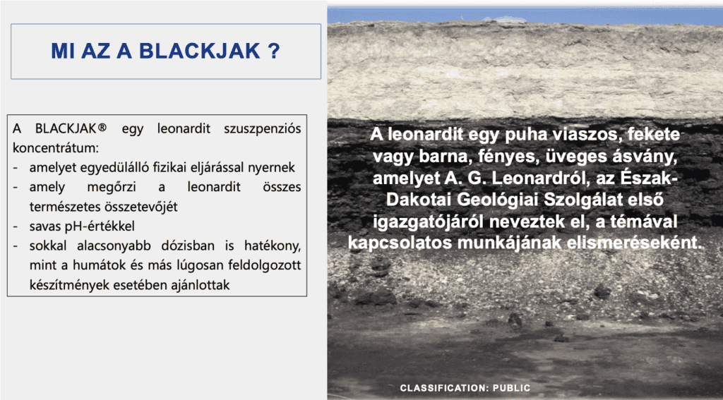 Blackjak