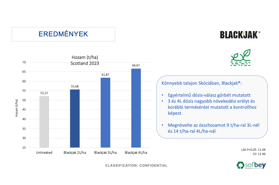 Blackjak eredmény