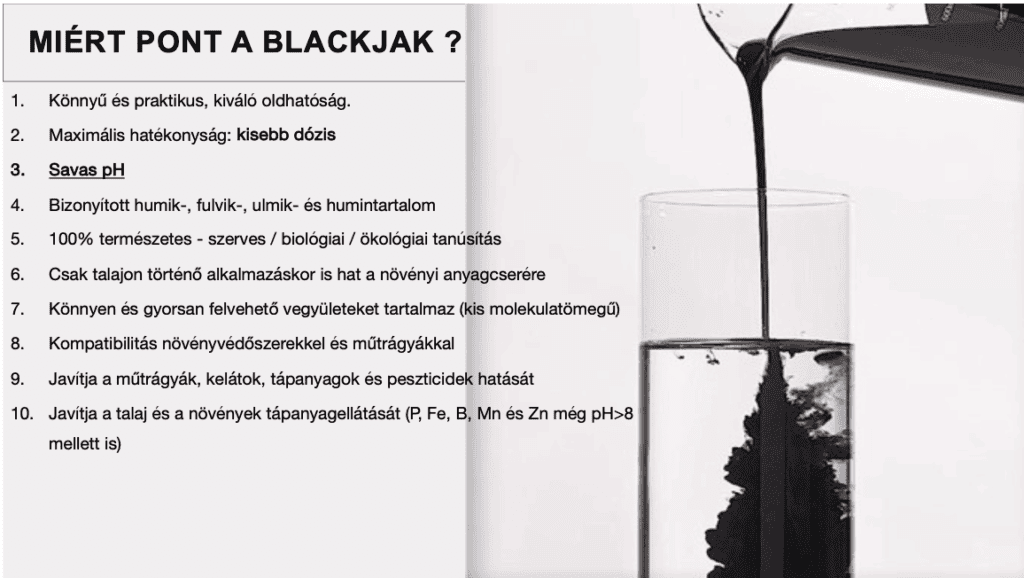 Blackjak tulajdonságok