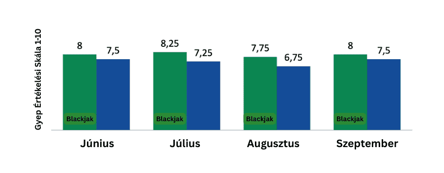 Blackjak