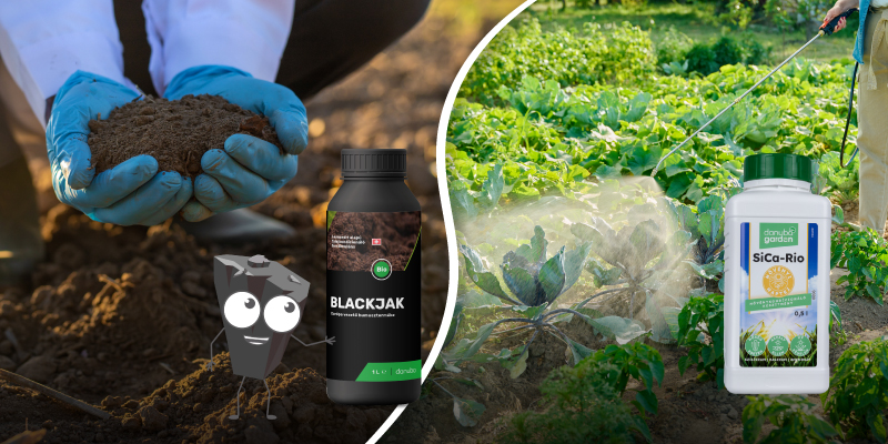 Preventing calcium deficiency with Blackjak and SiCaRio
