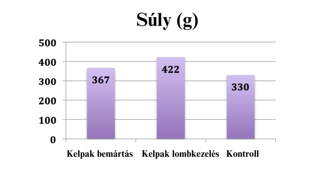 Kelpak graph