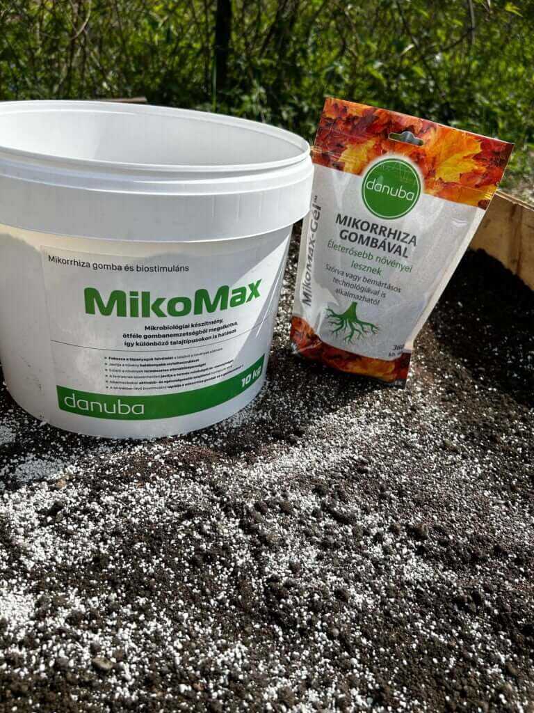 autumn planting with mycorrhizal fungi