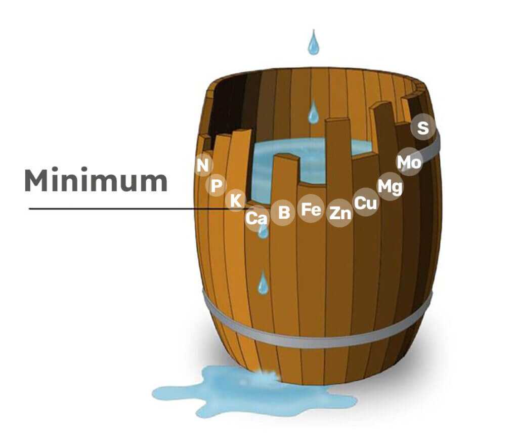 Liebig's minimum principle