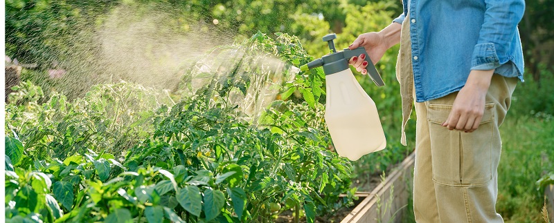 Spraying