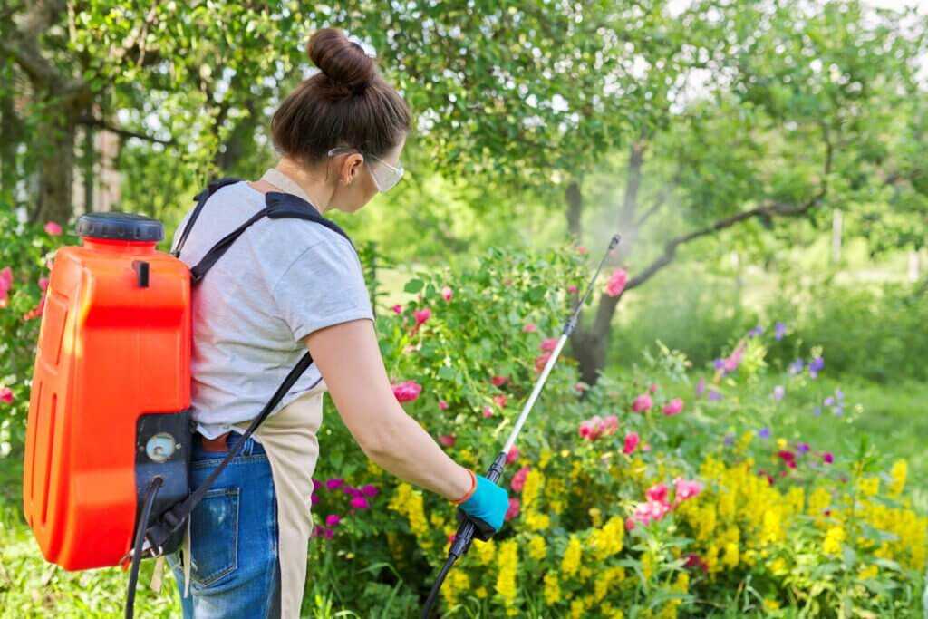 spray washing